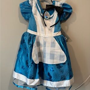 Alice in Wonderland Costume Dress